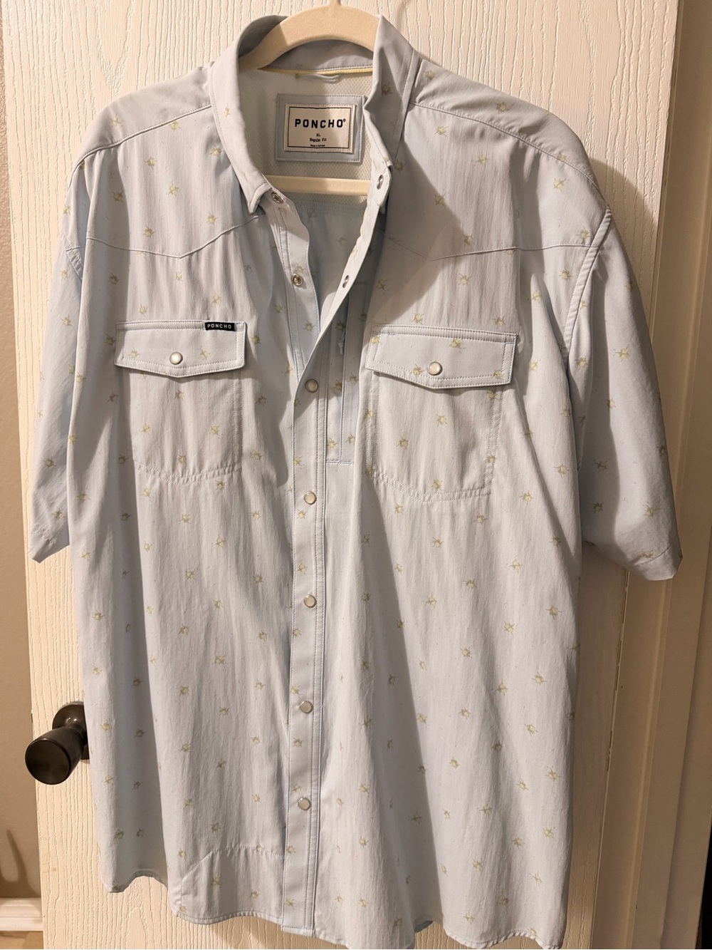 Poncho Light Blue Short-Sleeve Button-Down Shirt